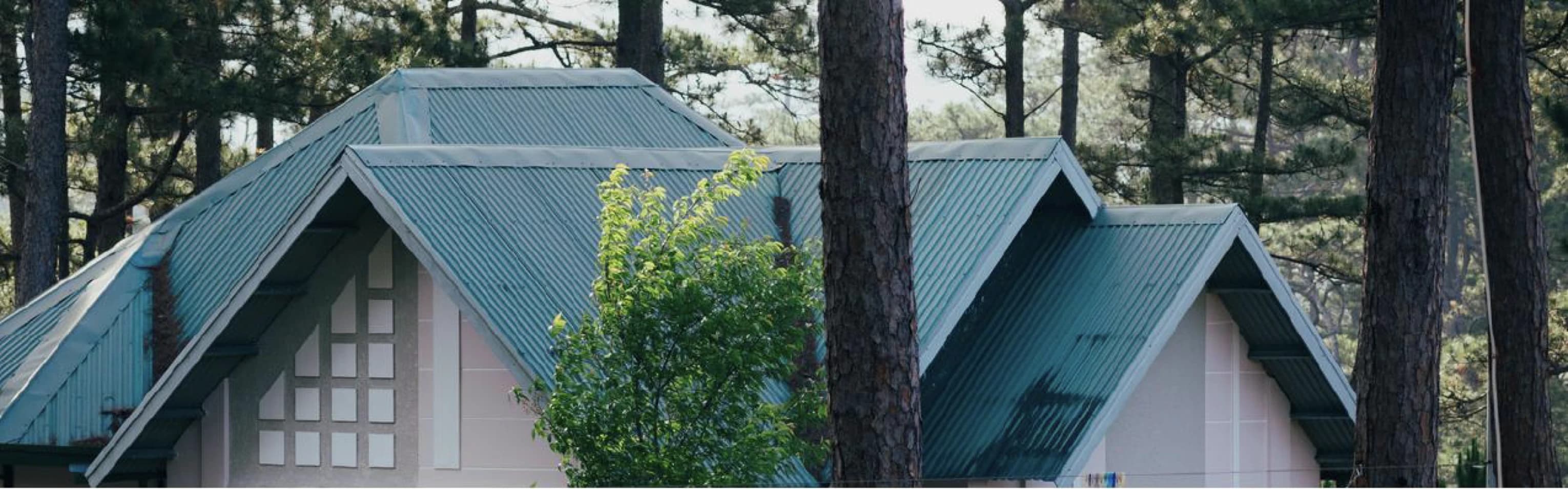 Teal corrugated metal roofs among pine trees